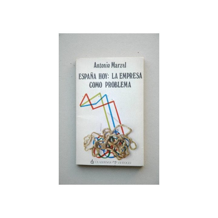 España hoy. La empresa como problema